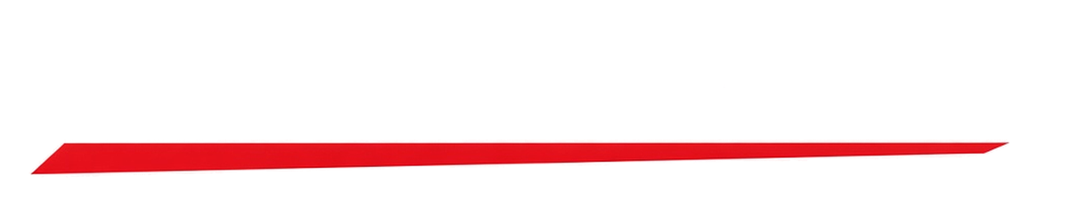 TSDynamic